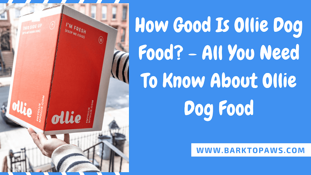 Do you know what you are feeding your dog when it comes to dog food