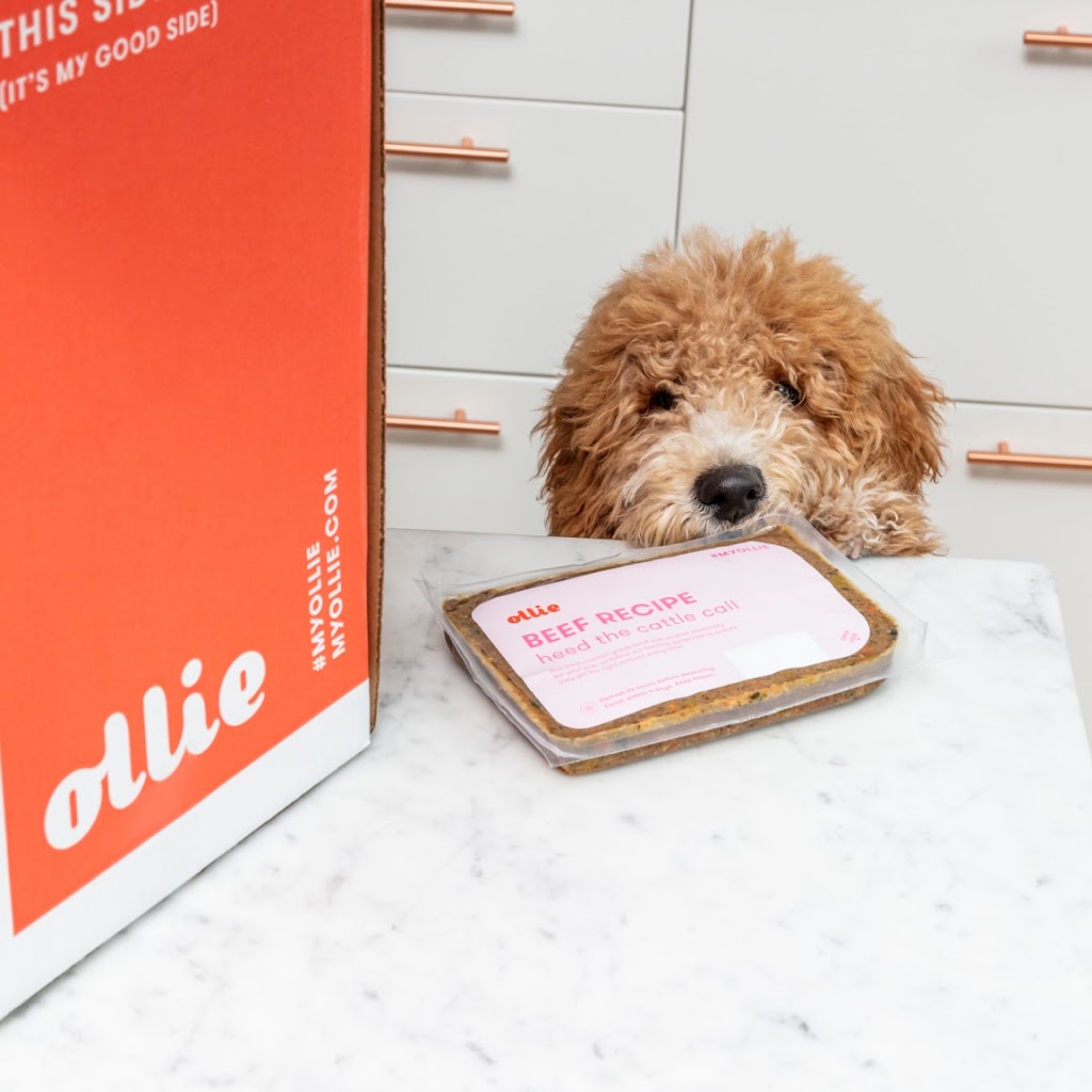 Ollie dog food Pack