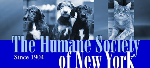 The Humane Society of New York